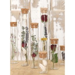 Cylindre nain en verre avec bouchon, 50ml, D3cm, H10cm, transparent