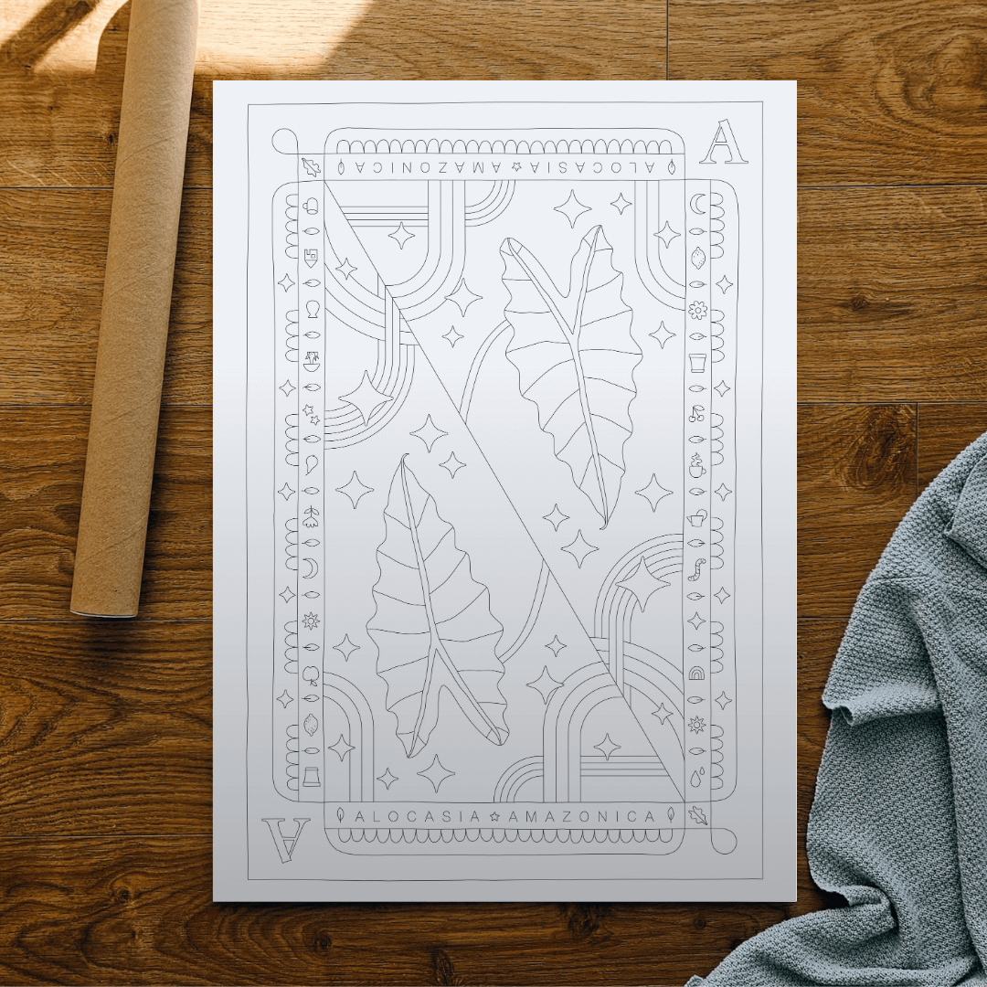 Alocasia Amazonica Coloring Poster 50x70 cm
