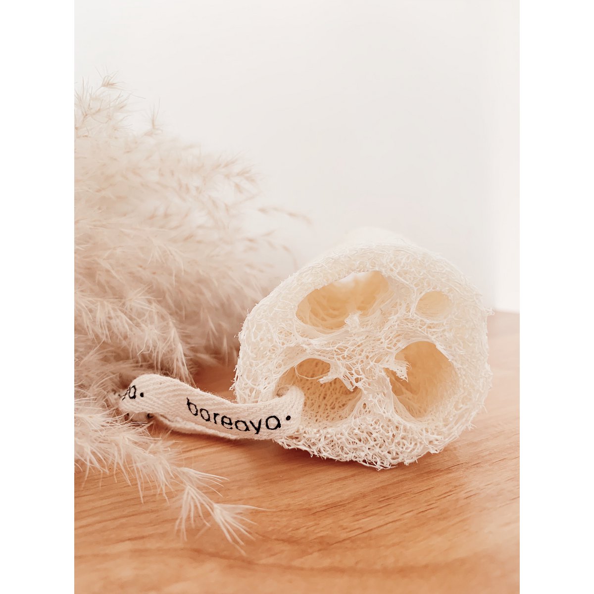 Luffa