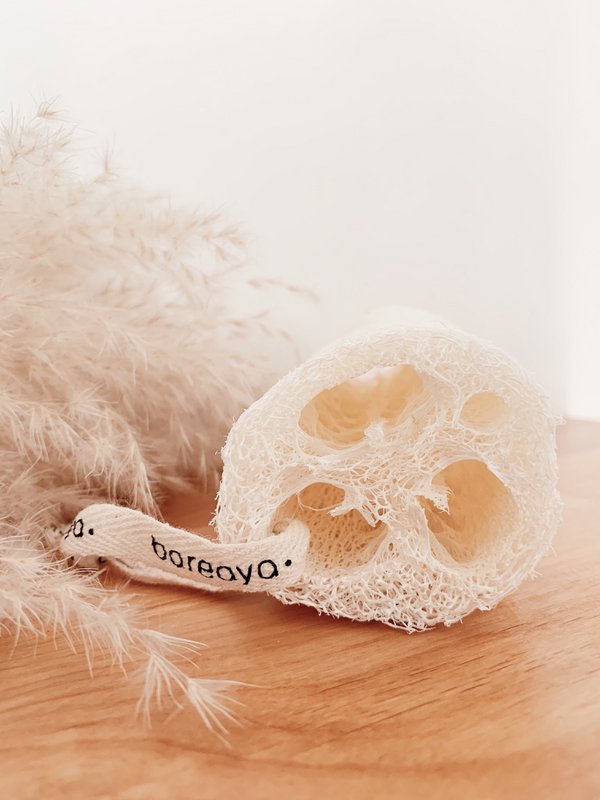 Luffa