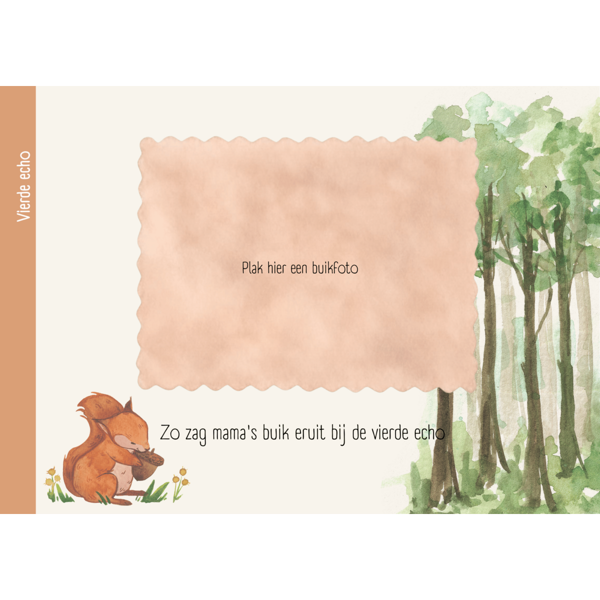 Libro de ultrasonidos - Amigos del bosque