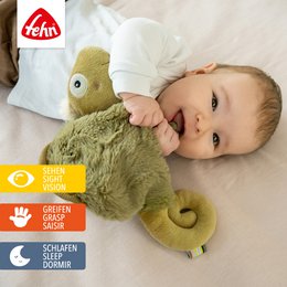 Doudou caméléon