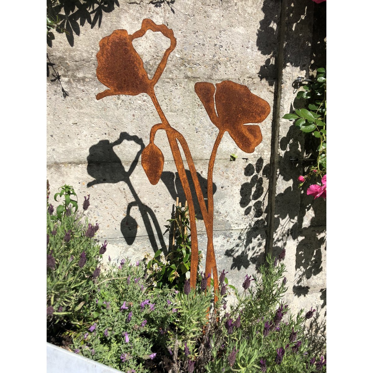 Poppy with flower bud | corten stem