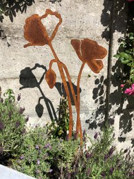 Coquelicot avec bouton floral | tige de corten