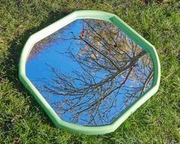 Octagonal tray with a reflective surface showing the branches of a tree against a blue sky.