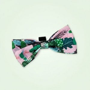 Cactus dog bow tie
