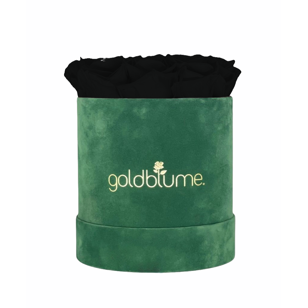 Velvet Green Collection