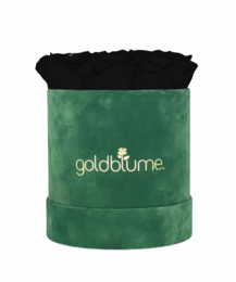Velvet Green Collection