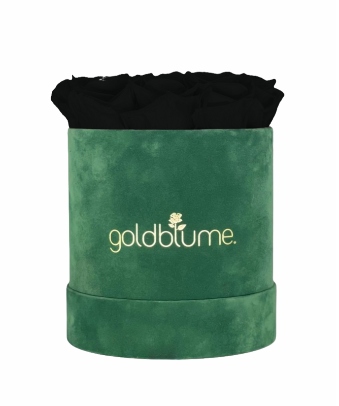 Velvet Green Collection