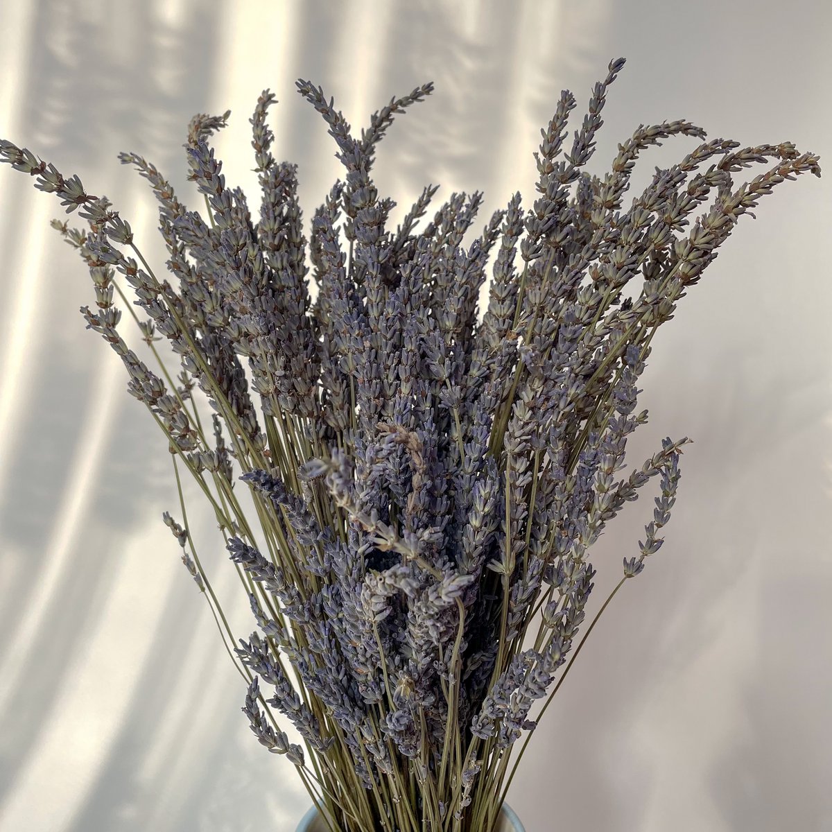 Gedroogde Lavendel 80g
