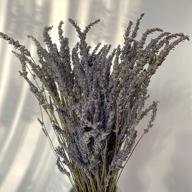 Gedroogde Lavendel 80g