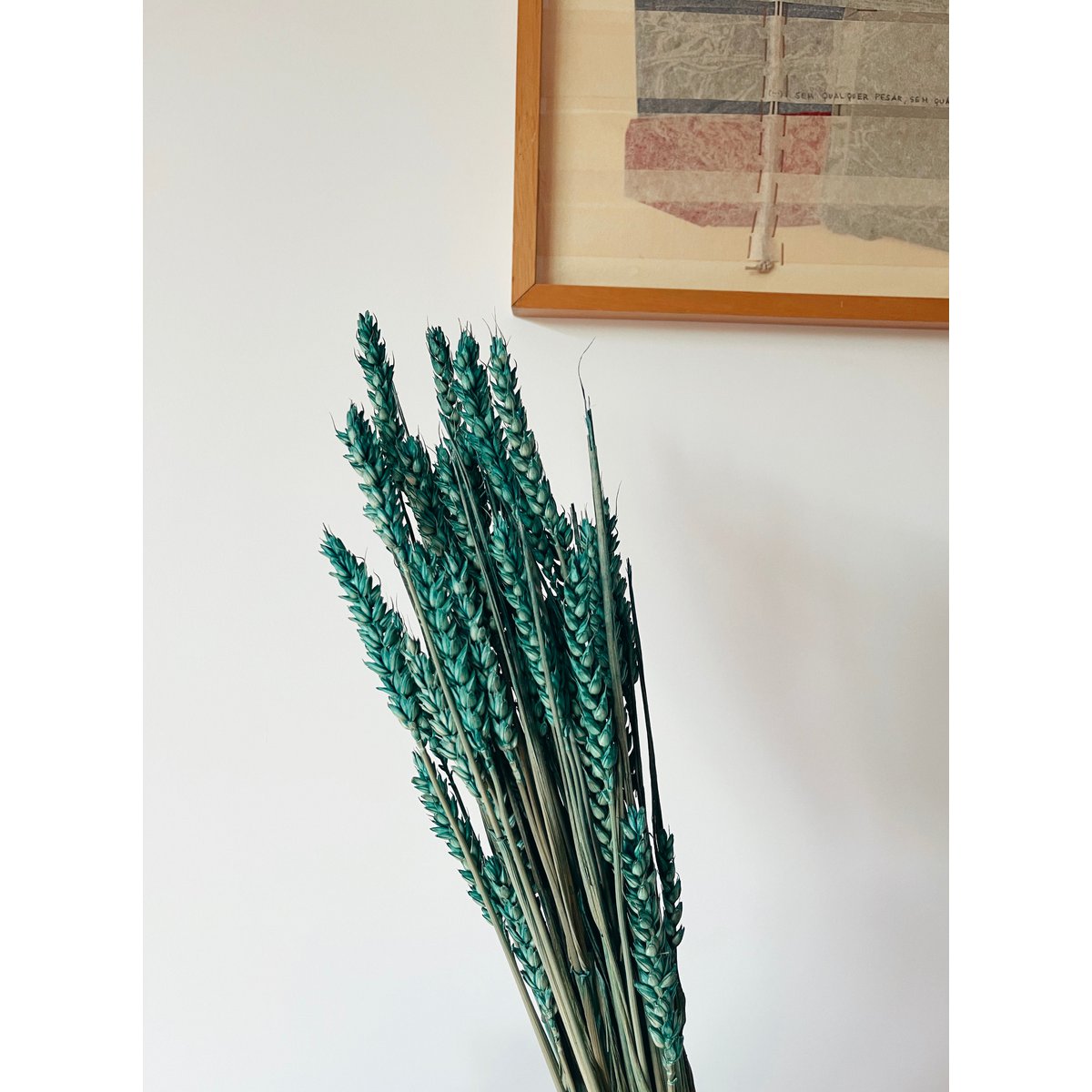 Fiori secchi verdi di grano