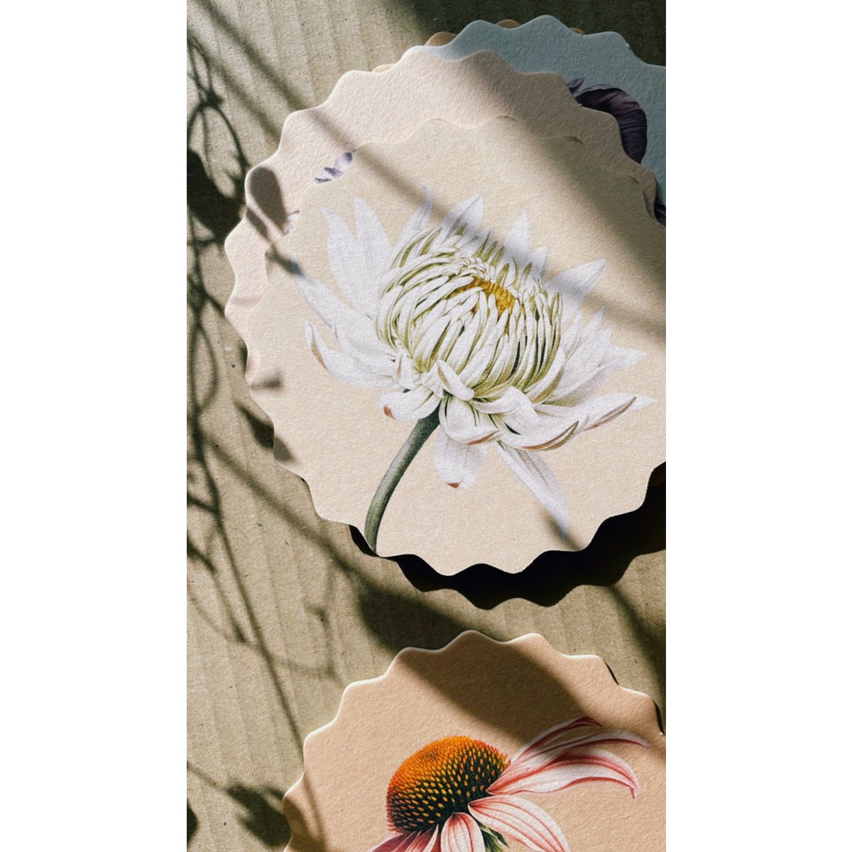 Sous-verres 10 motifs fleurs - 12 sets