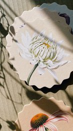 Coasters 10 motifs flowers - 12 sets