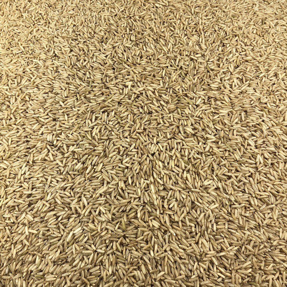 Organic Brown Rice in Bulk