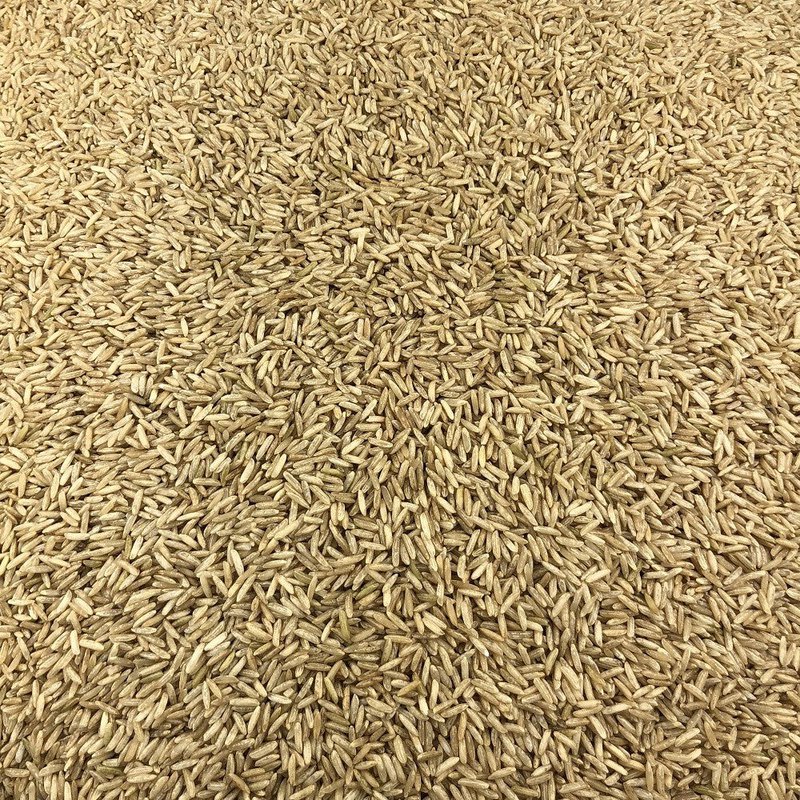 Organic Brown Rice in Bulk