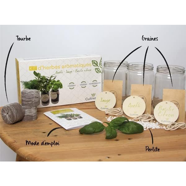 CULTIVEA® Organic* Aromatische kruidenset voor binnen – Dille, salie en citroenbasilicum om te kweken – Mini moestuin voor binnen met glazen potten – Kit voor aromatische planten – Cadeau-idee