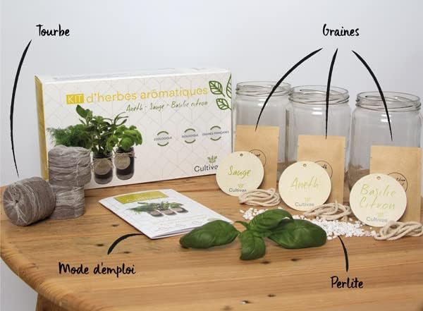 CULTIVEA® Organic* Aromatische kruidenset voor binnen – Dille, salie en citroenbasilicum om te kweken – Mini moestuin voor binnen met glazen potten – Kit voor aromatische planten – Cadeau-idee