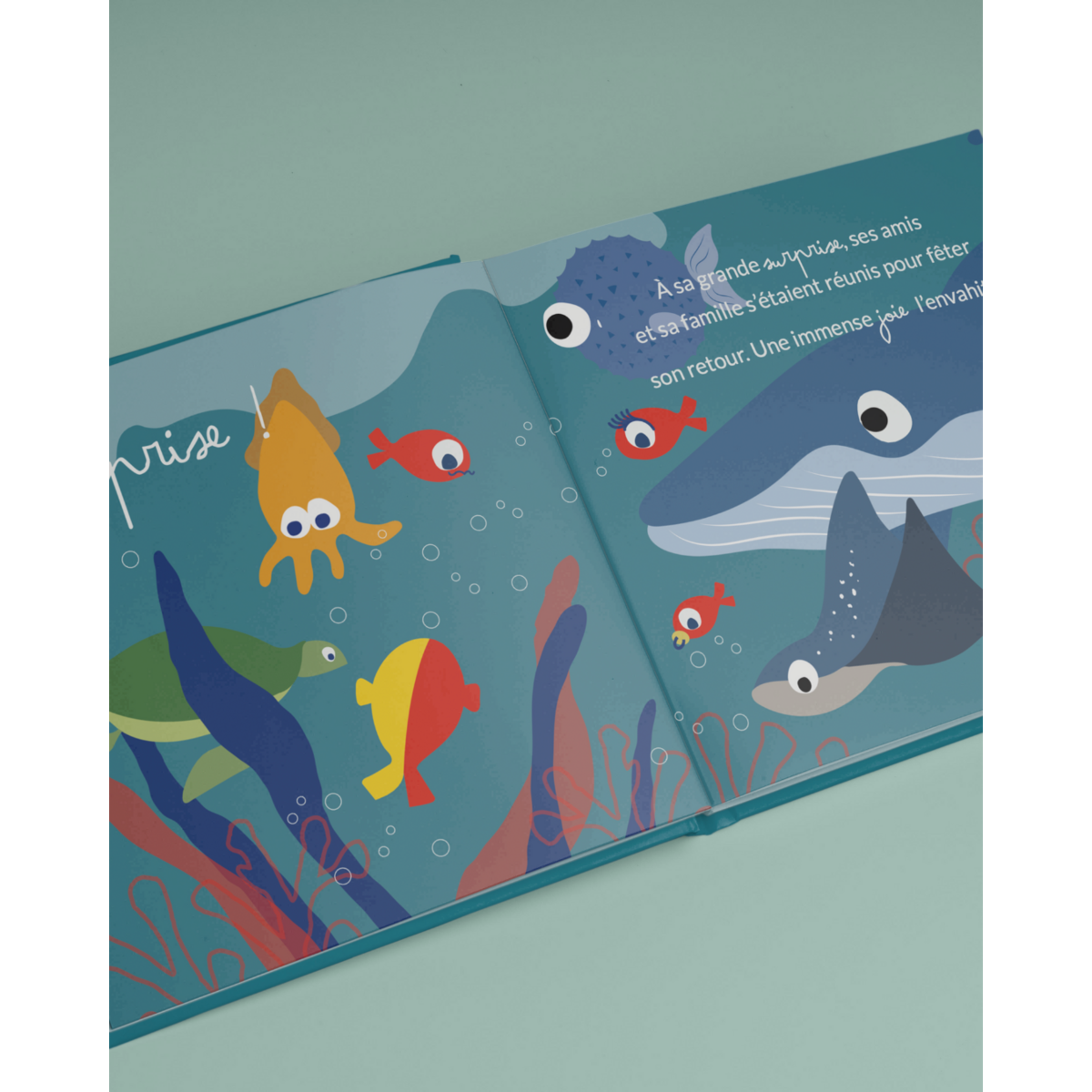 Kinderboek Maurice en de oceaan van gevoelens