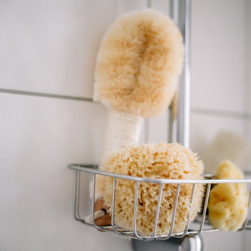 Éponge de mer naturelle pour bain et bébé
