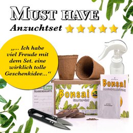 Bonsai - growbro - Wisteria voksesæt inkl. klimakort, dyrk din egen bonsai bro, gaver til kvinder og mænd, bonsai startsæt