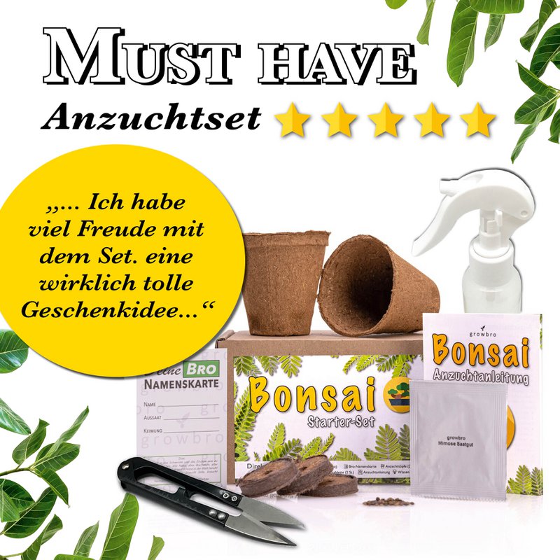Bonsai - growbro - Kit de culture Wisteria avec cartes climatiques, cultivez votre propre bonsaï bro, cadeaux pour femmes et hommes, kit de démarrage bonsaï