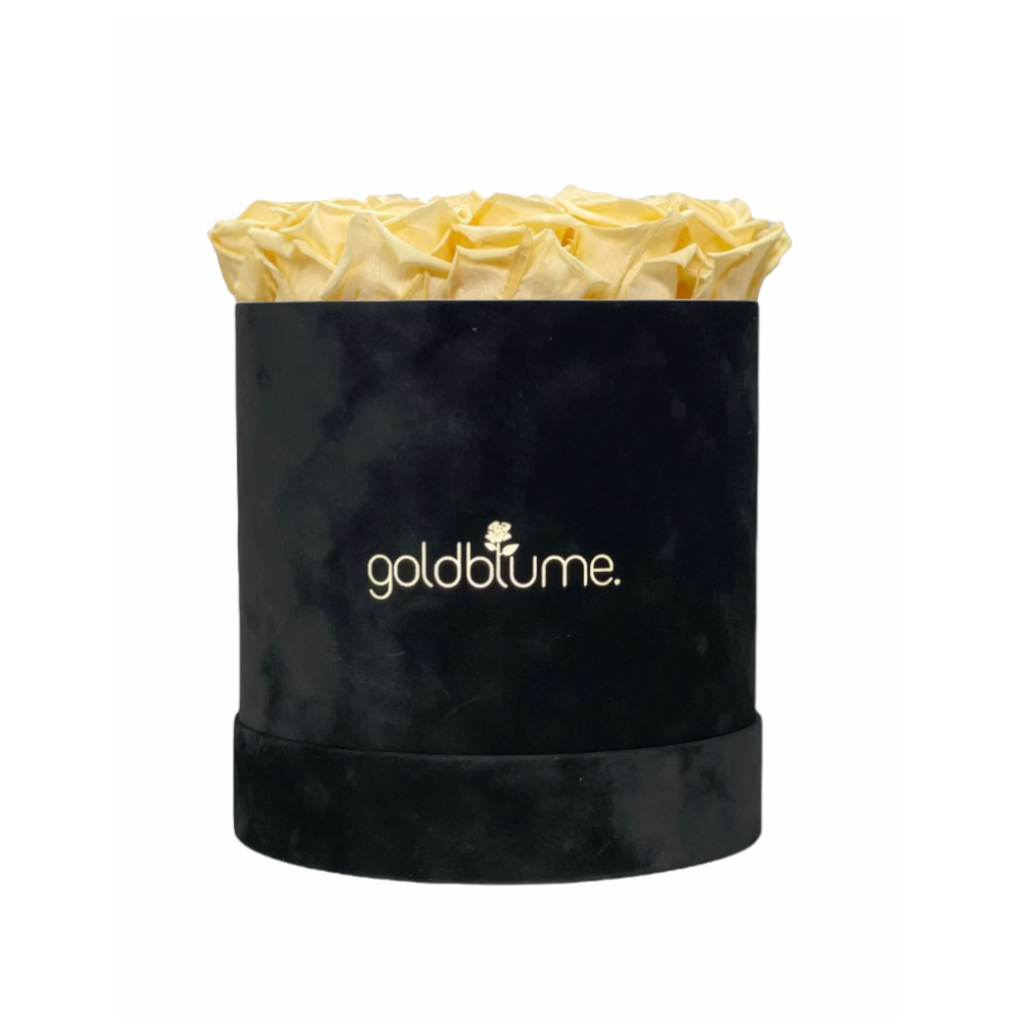 Velvet Black-collectie
