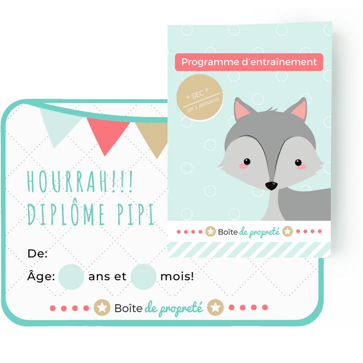 Boîte de propreté - Apprentissage de la propreté pour enfants