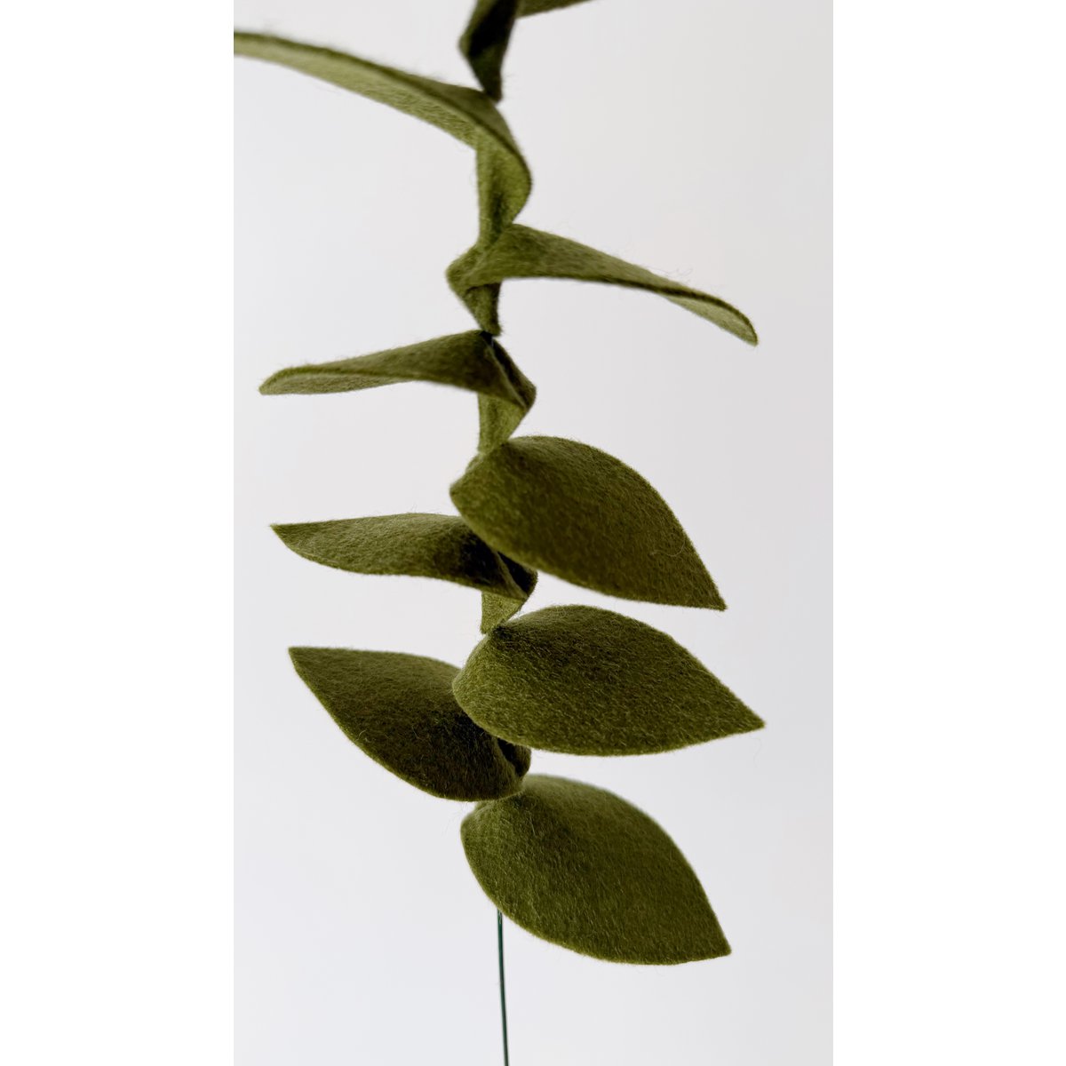 Filzblume Gemüsezweig dunkelgrün