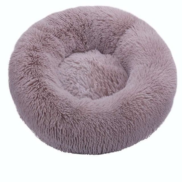 Bed cushion pets