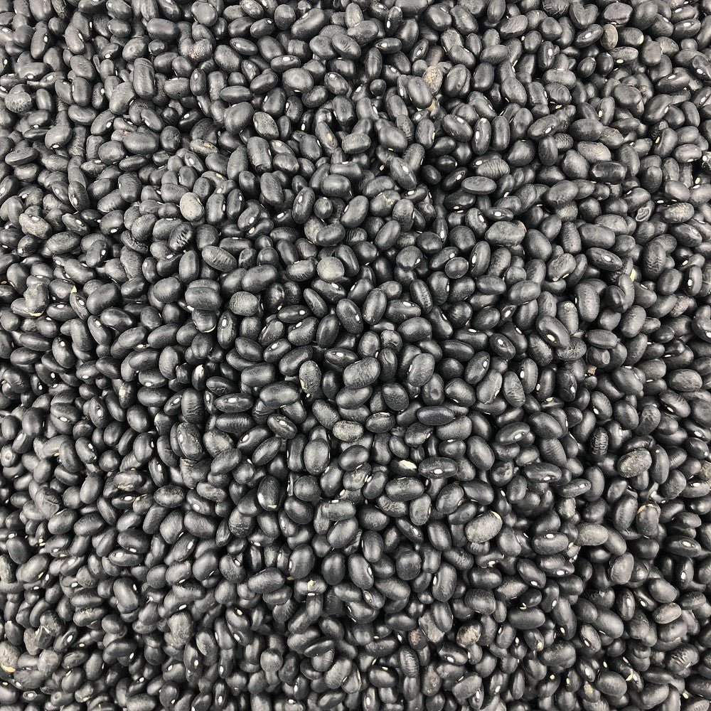 Organic black beans in bulk