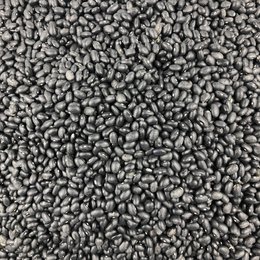 Organic black beans in bulk