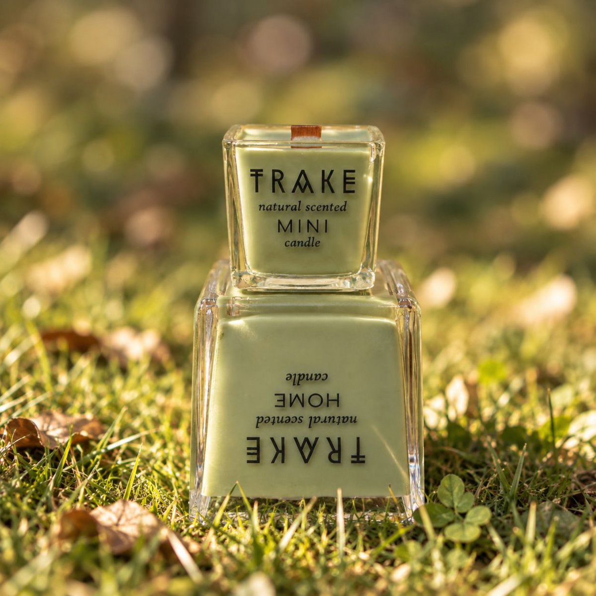TRAKE DUFTKERZE „ZAUBERWALD“ | Zauberwald – 250 g
