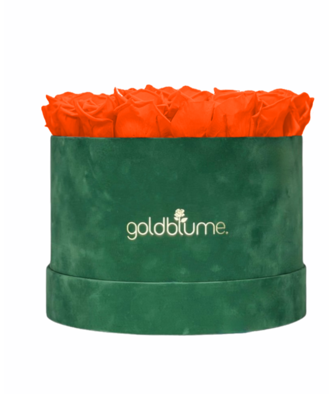 Velvet Green Collection