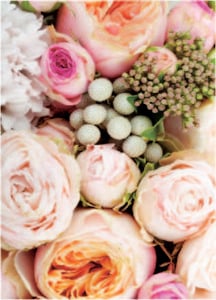 Card pink flowers