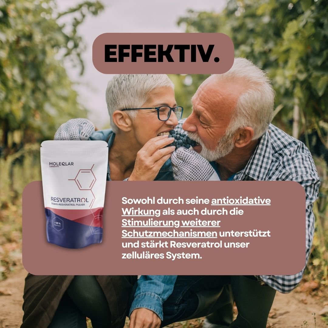 Polvere di resveratrolo