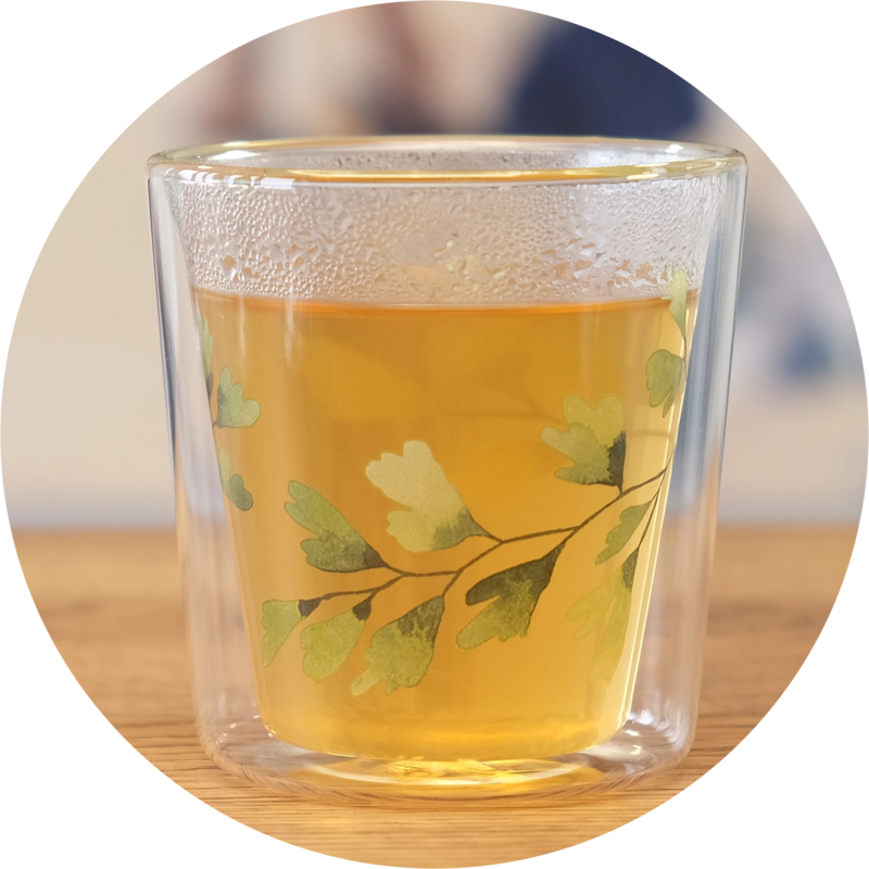 Teglas Lyn "Ginkgo"