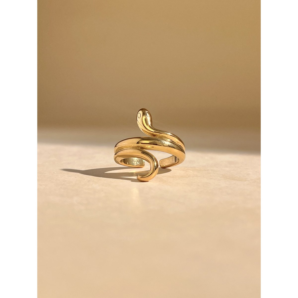 Adjustable snake ring - stainless steel