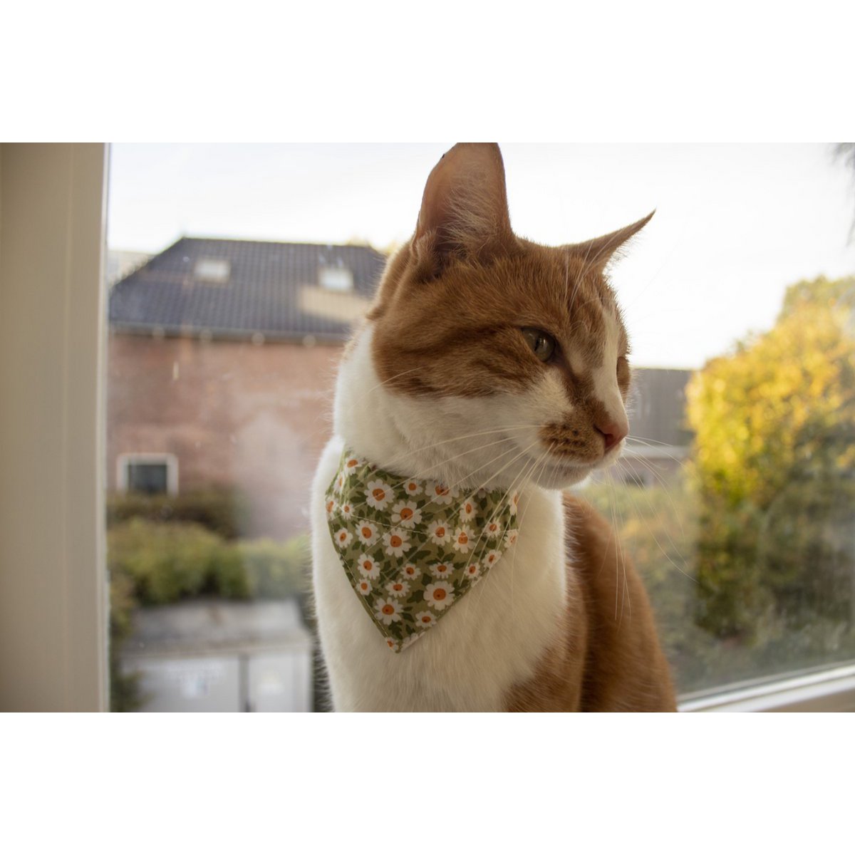 ByTiekeman - Collar para gatos - Verde/Blanco - 20-30 cm