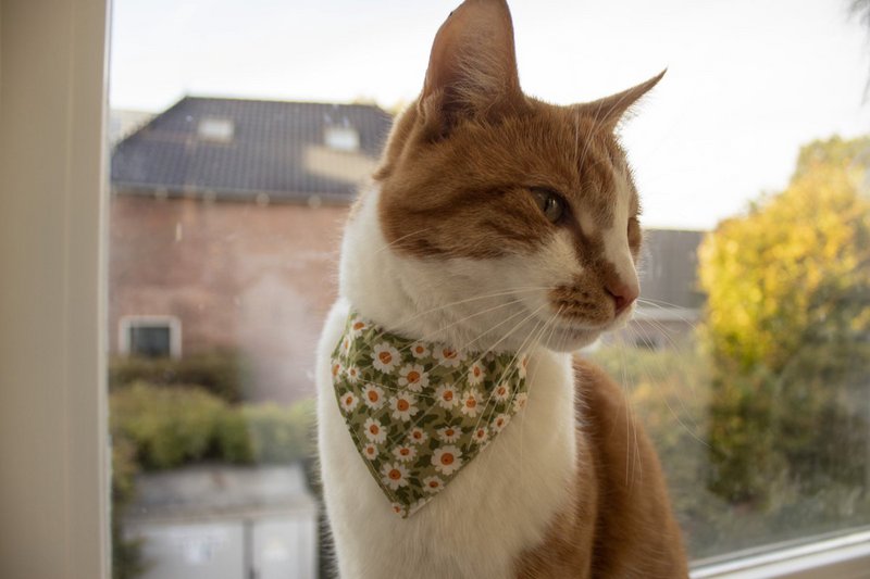 ByTiekeman - Katzenhalsband - Grün/Weiß - 20-30 cm