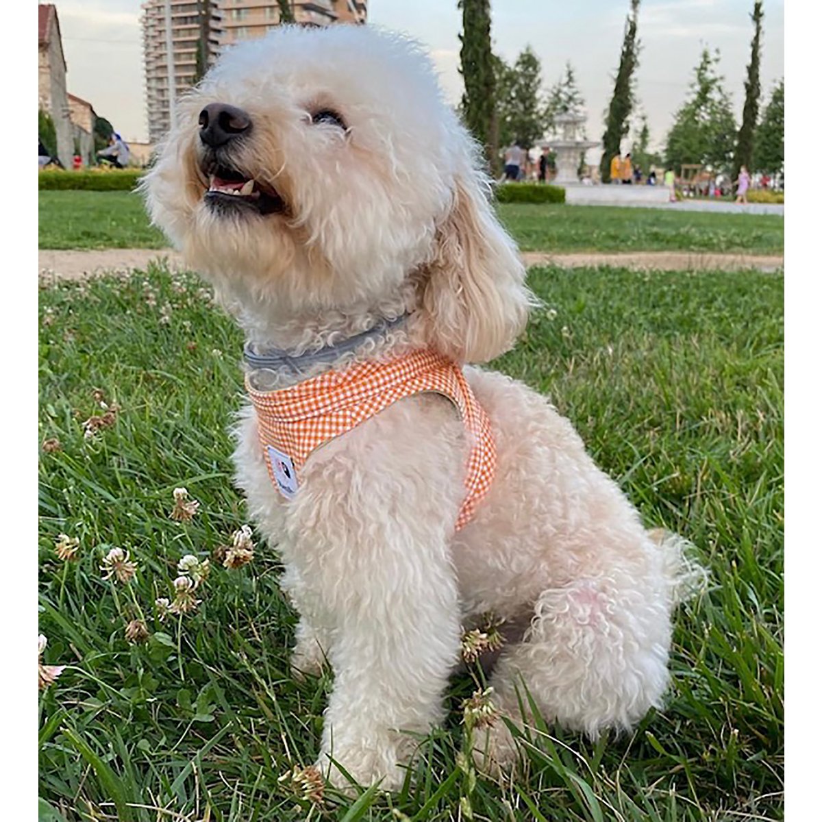 %100 Cotton Orange Tile Patterned Plain Collar Harness