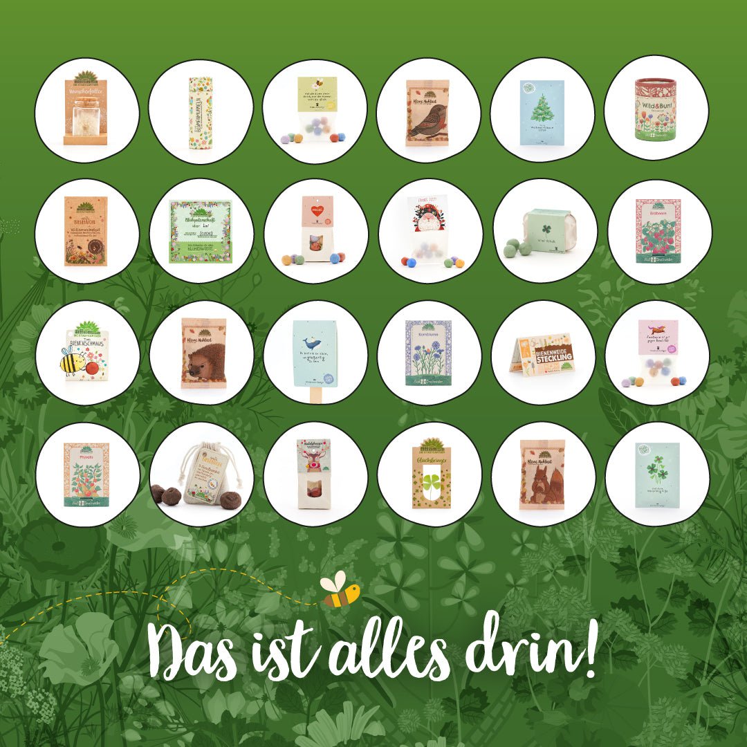Stadtgärtner-Adventskalender 2026