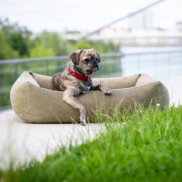 TUDOR ORTHO | Premium Orthopedic Dog Bed