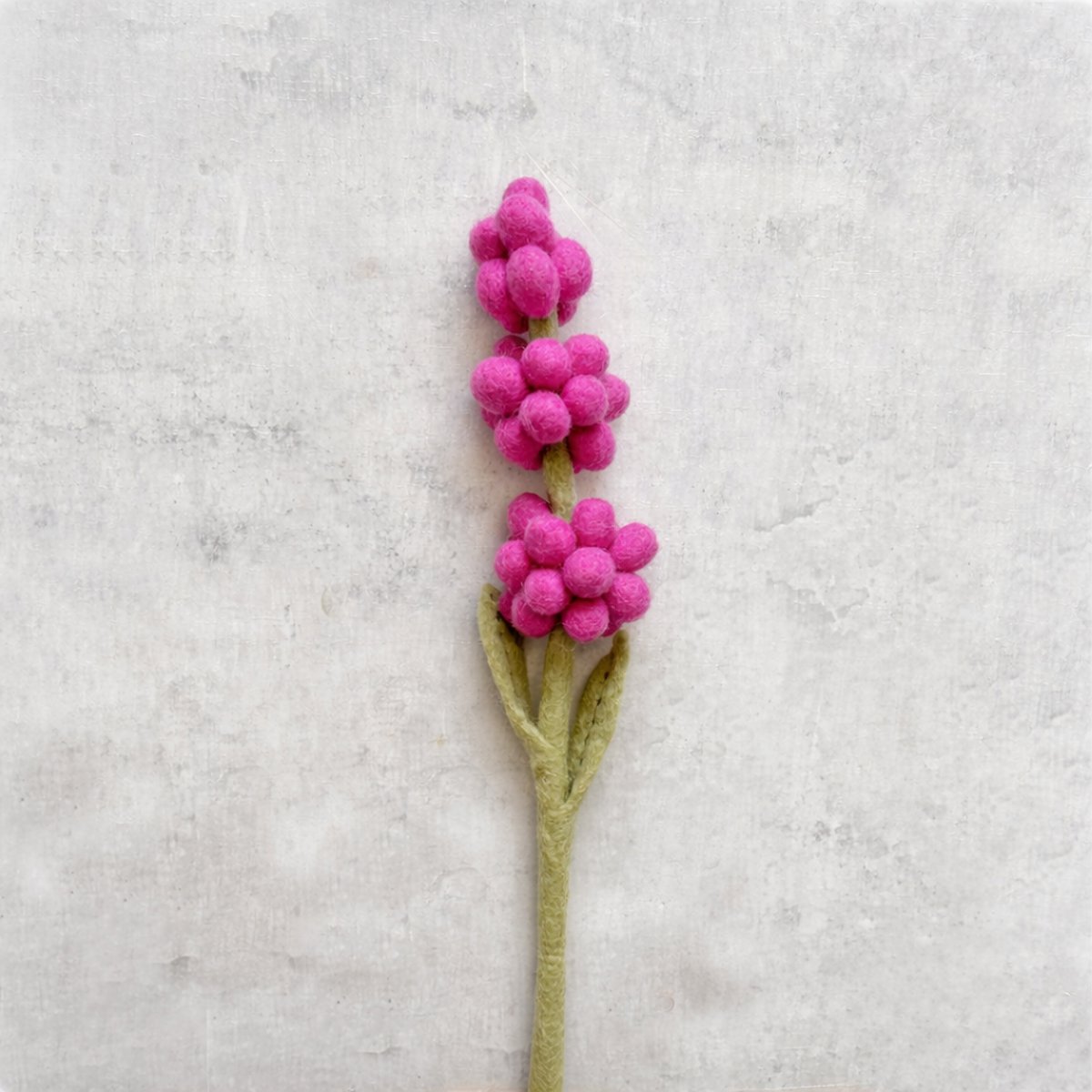 Jacinthe rose