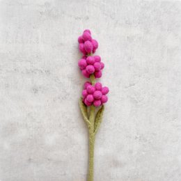 Rosa giacinto