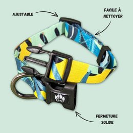 Reef dog collar