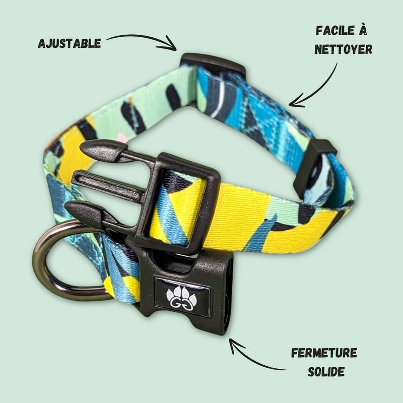 Reef dog collar