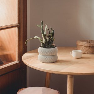 Dorn—12 Planter