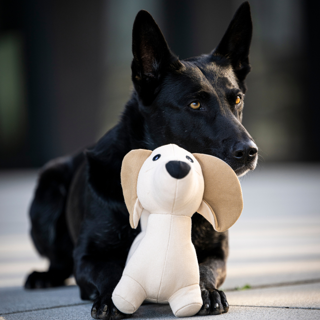 Hundespielzeug Dackel Pepe