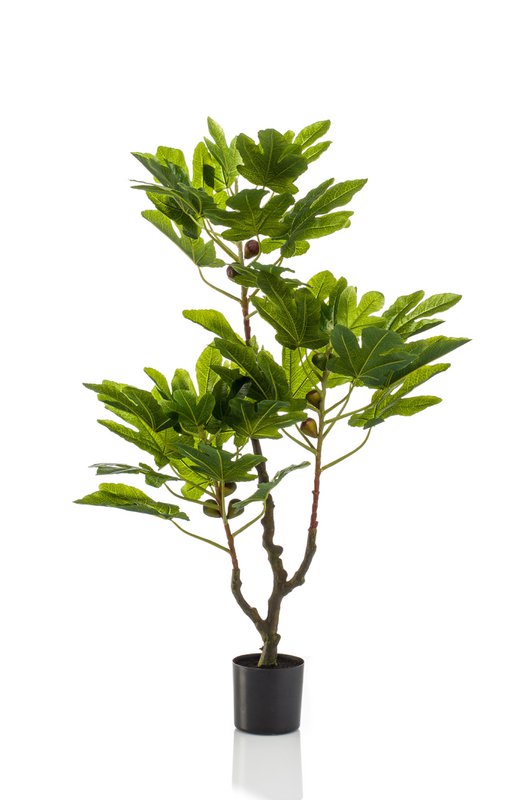 Art Plant - Ficus Carica - Figen Tree - 95 cm